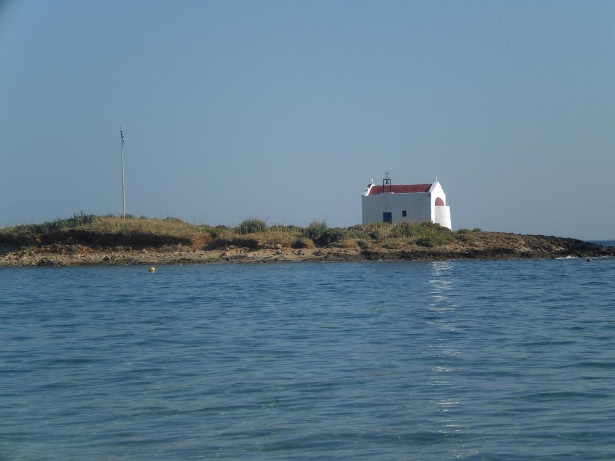 Dolphin Studios Μάλια Εξωτερικό φωτογραφία